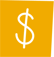 Money Icon