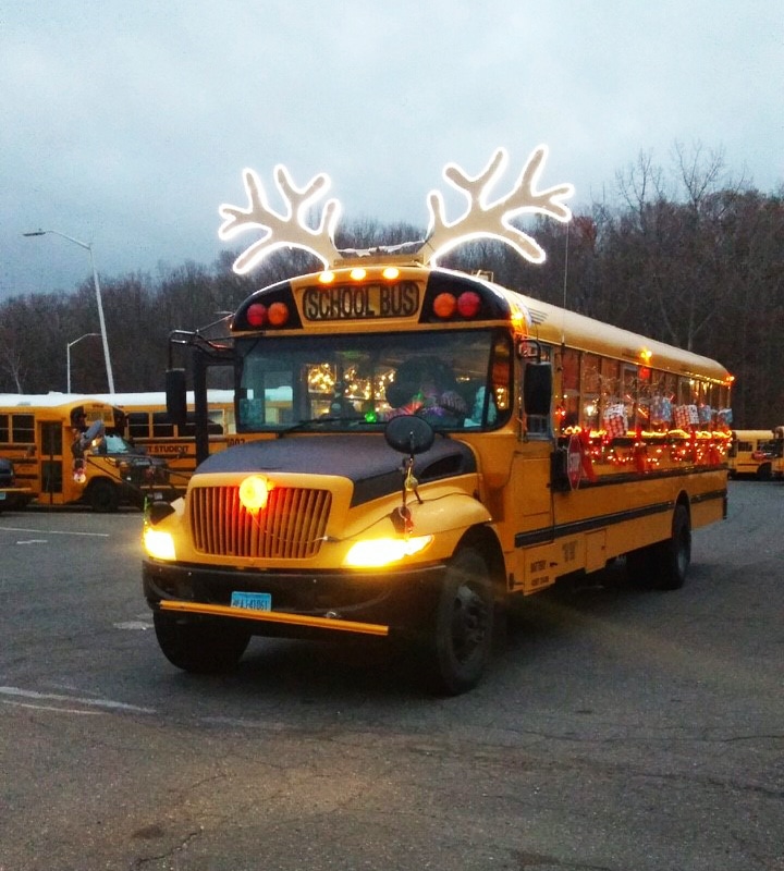 festival of lights parade portal pic