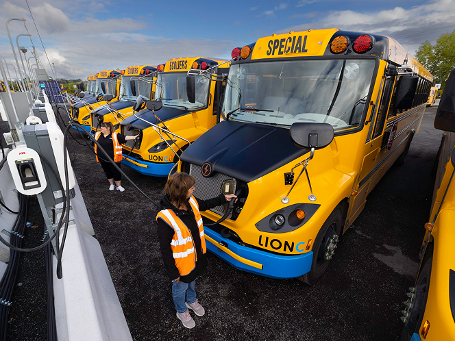 row of busses at electric charging station